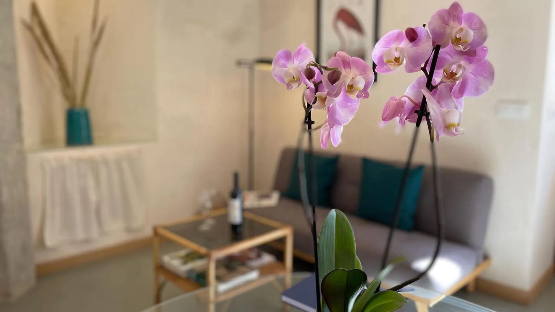 Smart Apartments טריפה